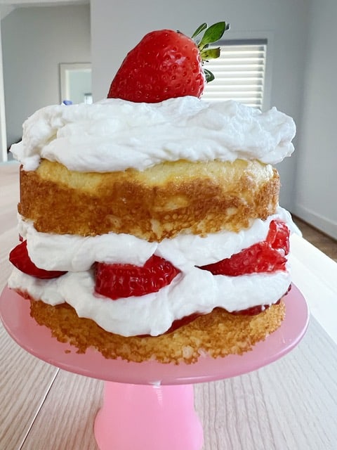 mini-vanilla-cake-recipe-simple-4-inch-layer-cake-chelsweets